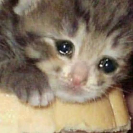 Sir_HudsonFelix's profile picture