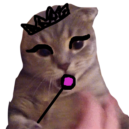 Bozandi's profile picture