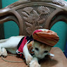 aktterdilruba's profile picture