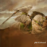 hya972307's profile picture