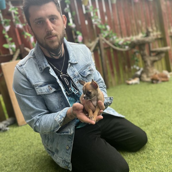Keiranroyle101's profile picture