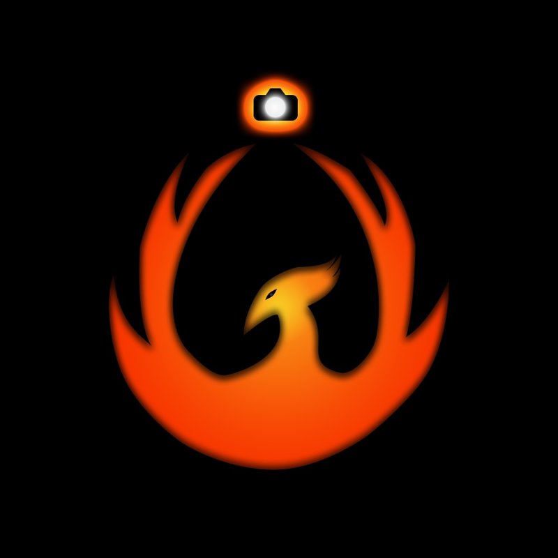 IronPhoenix2989's profile picture