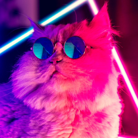 TheSavageWenja's profile picture