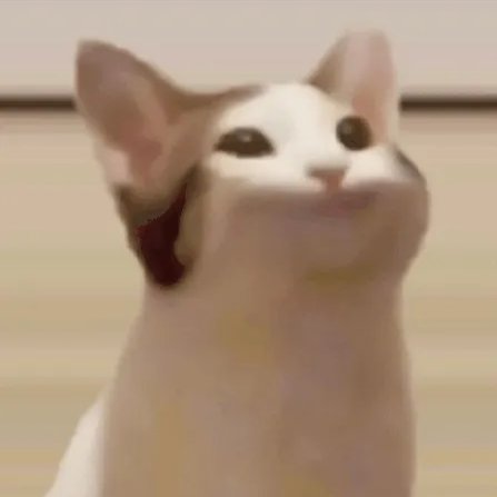 tmsahbas30's profile picture