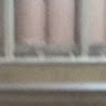 agostiago8's profile picture